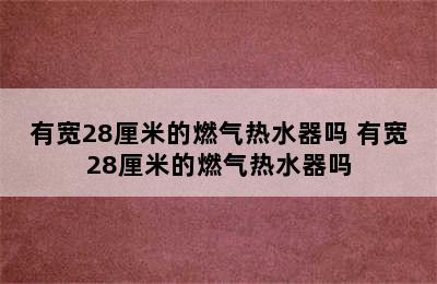 有宽28厘米的燃气热水器吗 有宽28厘米的燃气热水器吗